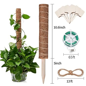 Toxx MOSS STICK 50SW Moss Pole 51 Inches, 4 Pcs 17 Inch Moss Poles for Climbing